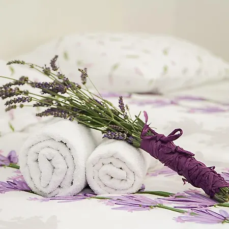 דירה Soul Of The