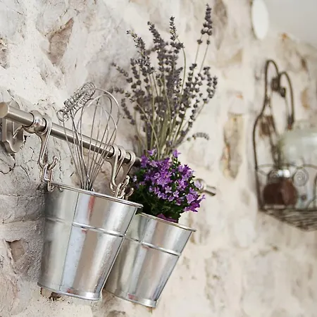 דירה Soul Of The שיבניק