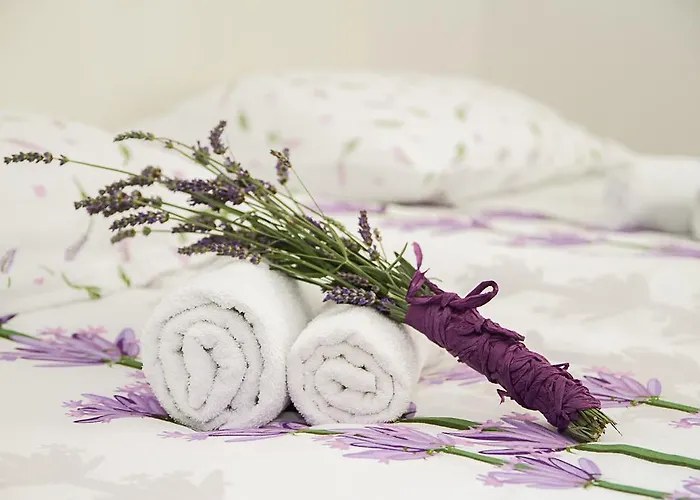 Apartment Soul Of The City