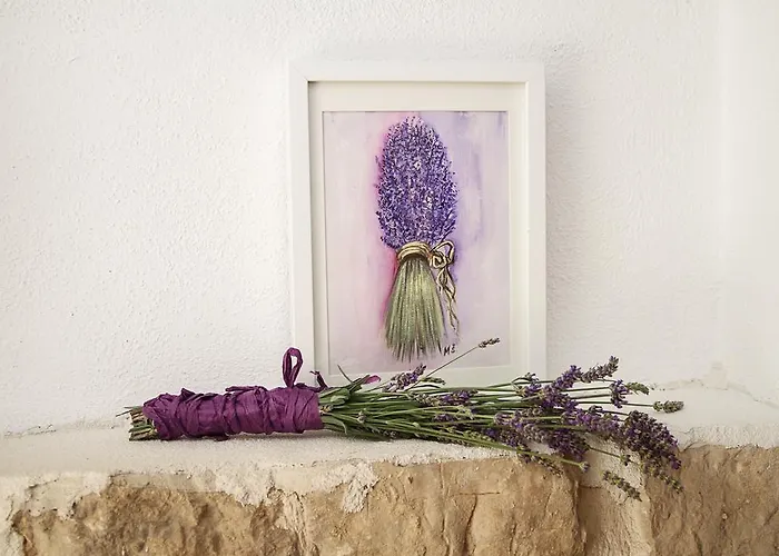 Soul Of The City Sibenik